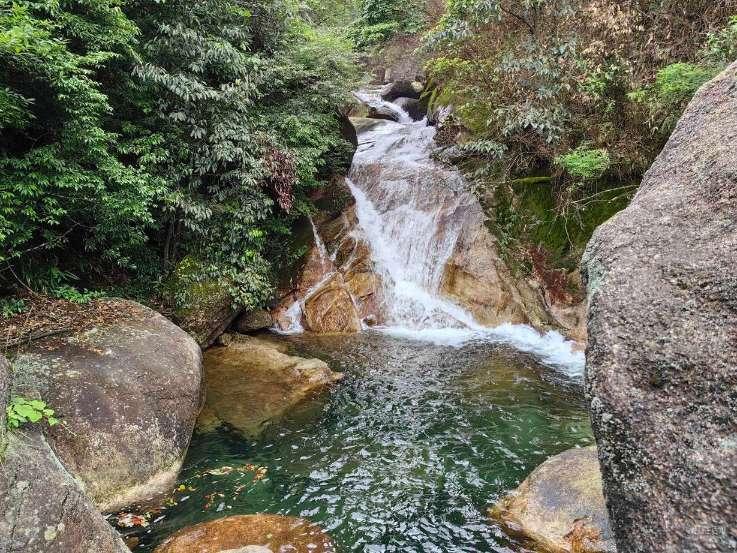 探探猫历险记